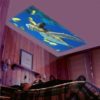 Portable Mini Projector