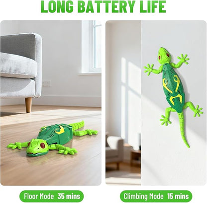R/C Wall Crawler Gecko